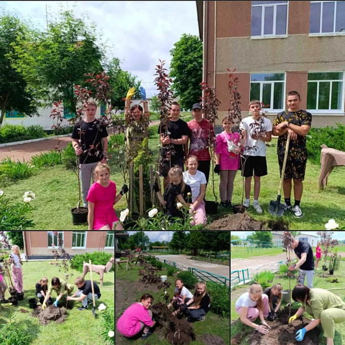 「地雷ではなく桜を大地に、ミサイルではなく花を大空に」ジトーミル州にて桜プロジェクトを推進