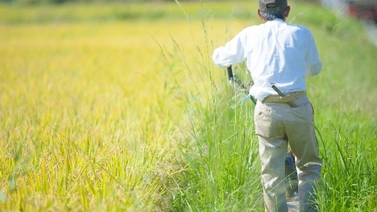 豊後高田の若手生産者の販売拠点となるサイトを制作します！
