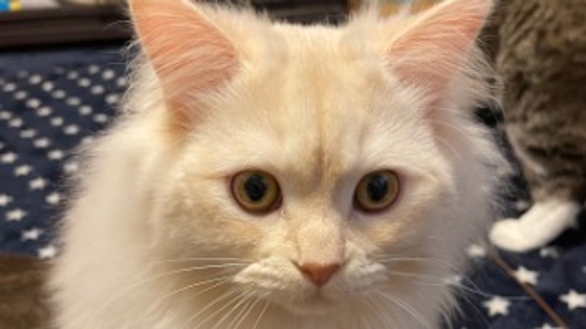 今日のトキ☀️