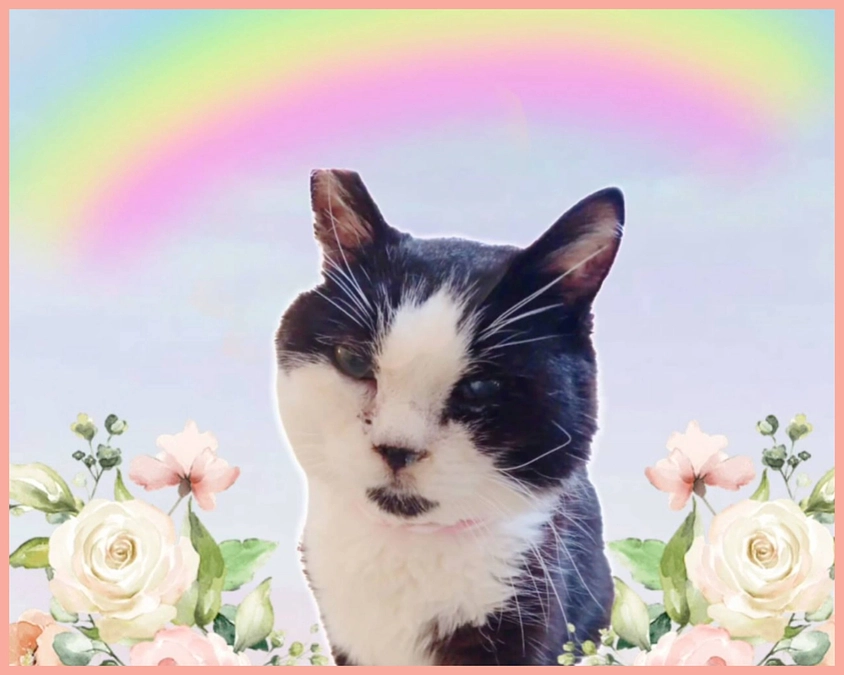 葬儀がおわりました