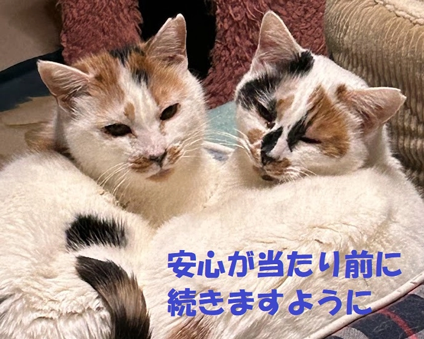 能登半島地震に　できることは・・・
