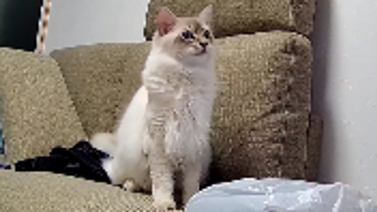 5時間で終了します。