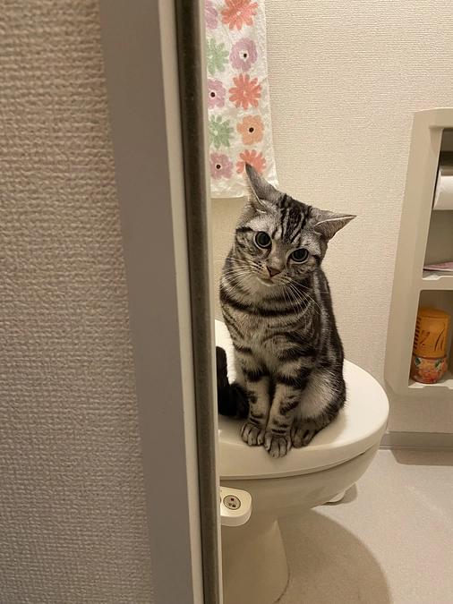 2023.5.15⭐️ #闘病生活27日目⭐️