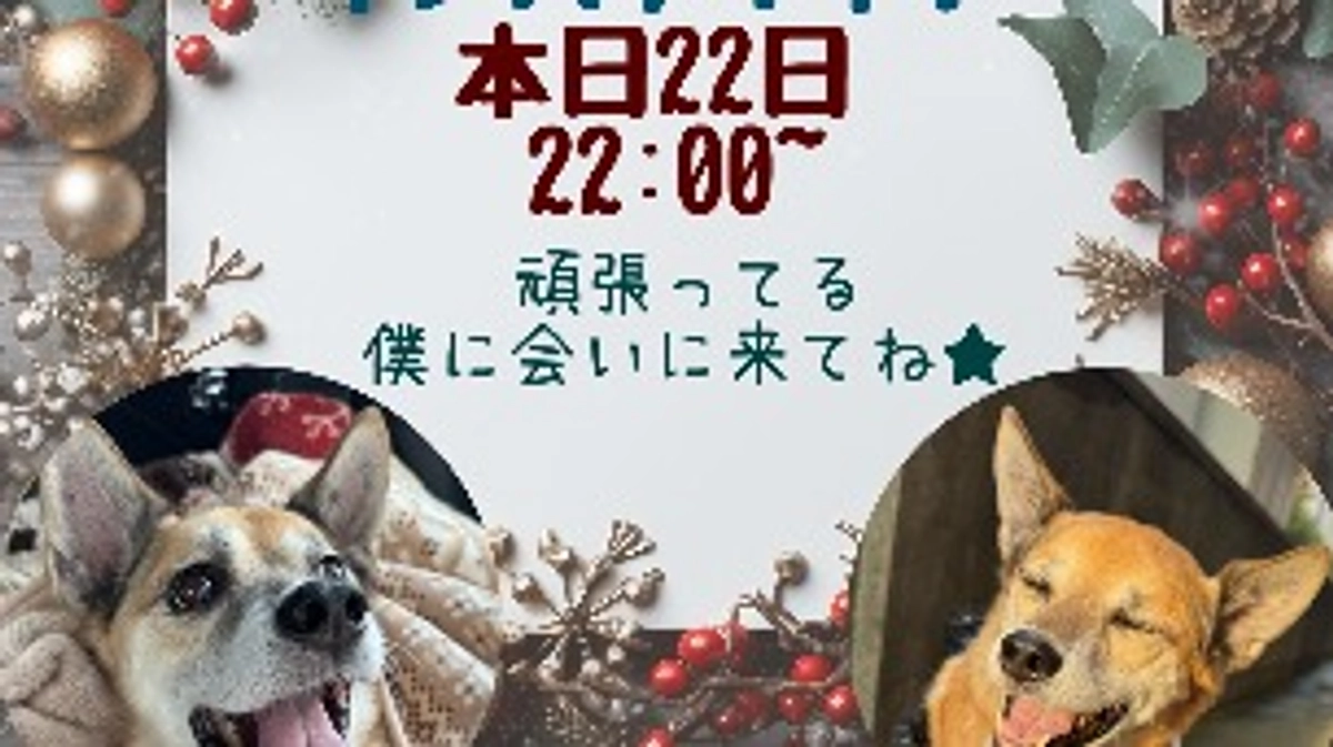 ‼️夜は初の単独インスタライブ‼️