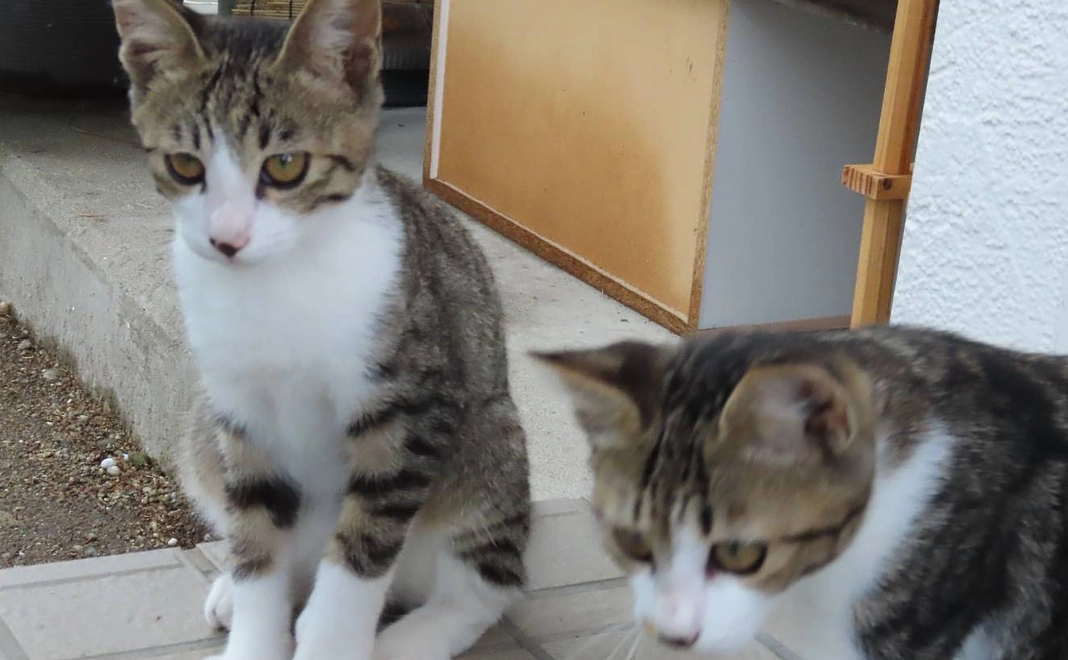 ご支援に感謝しています