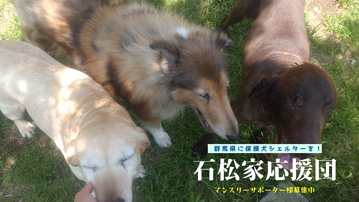 群馬県に保護犬シェルターを！　継続寄付 ┃ 石松家応援団