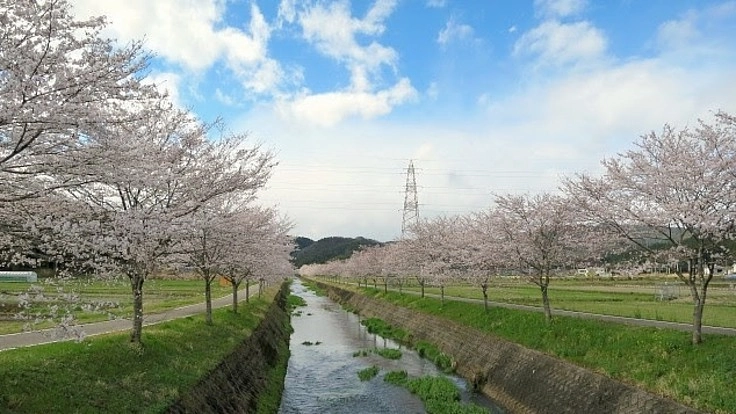 山県市を拠点に過疎化地域での訪問看護