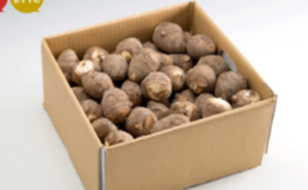 ネパールの小学生が夢を追いかけられる支えになります