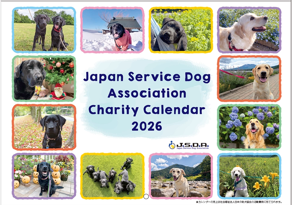 カレンダー2026、大好評販売中です！！