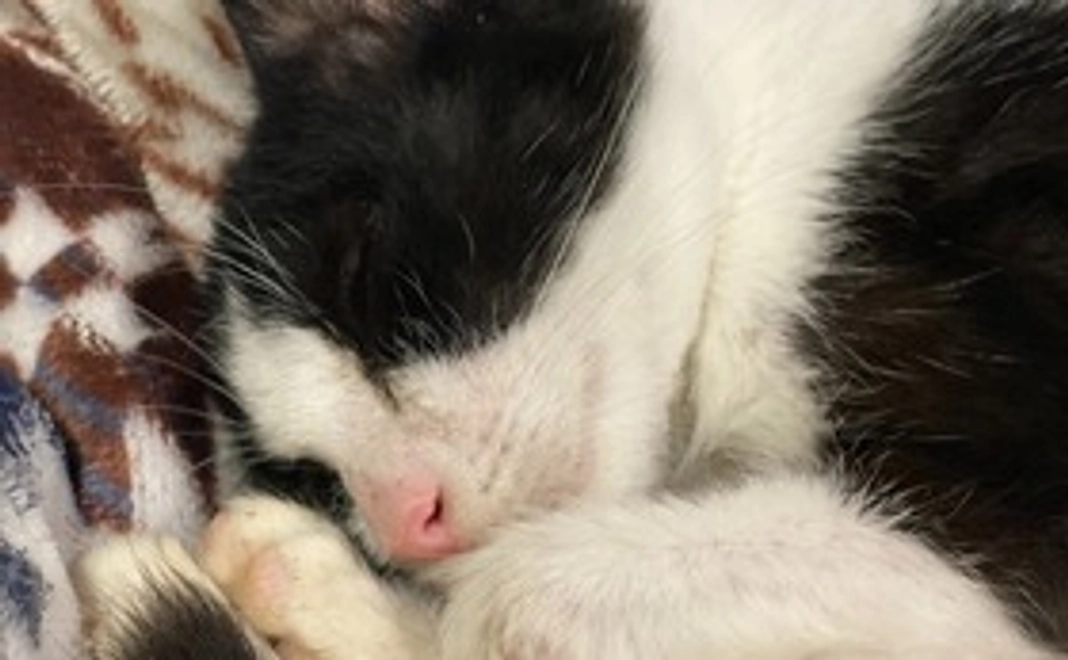 写真付き（3枚）のお礼のメール