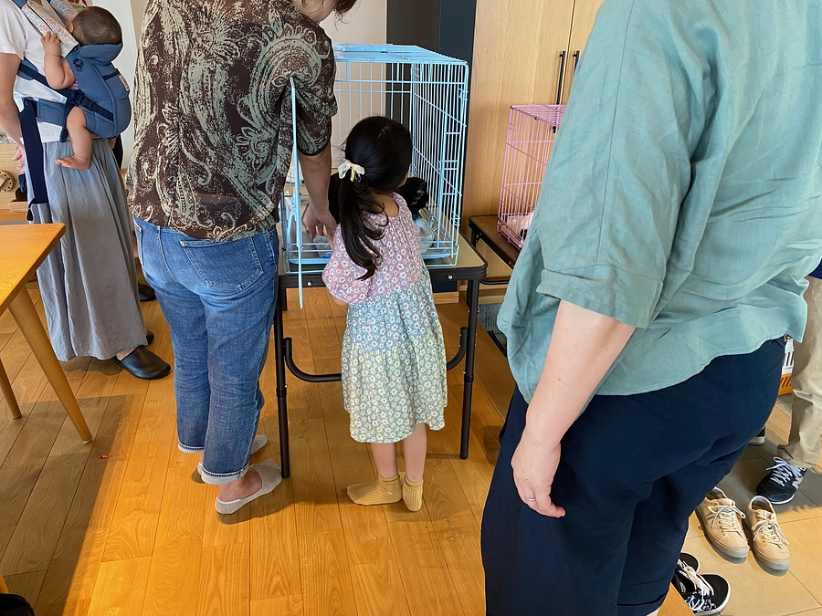 猫を救うことができるのは皆様のおかげです