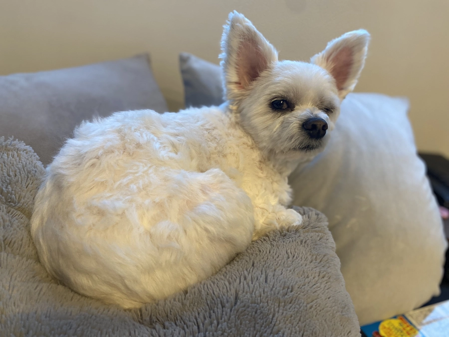 迫る期日とできること