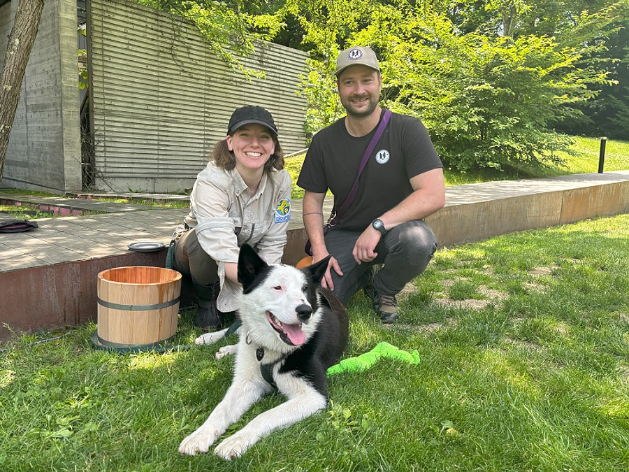 【追加開催】かけだしベアドッグふれあい会 ～こんにちは！スシャナ～