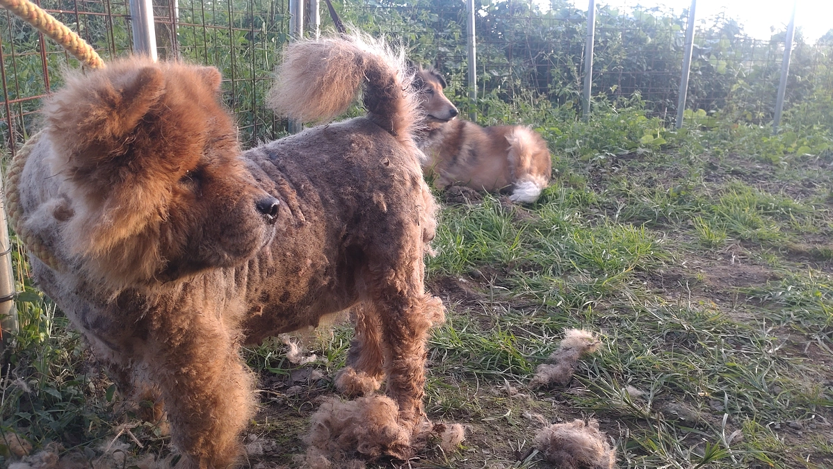 リターンを発送致しました