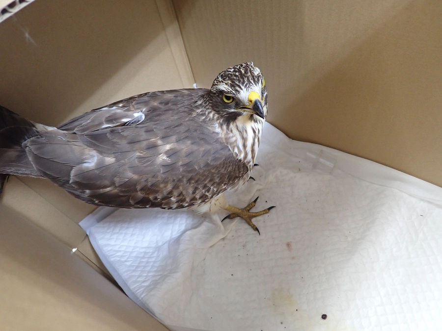 リターン品紹介②