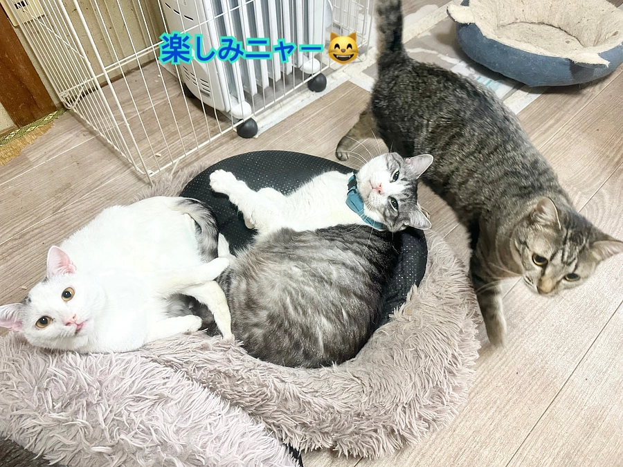 リフォーム進んでます