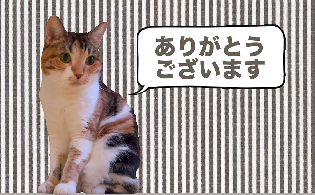 ロビンへの応援【1】