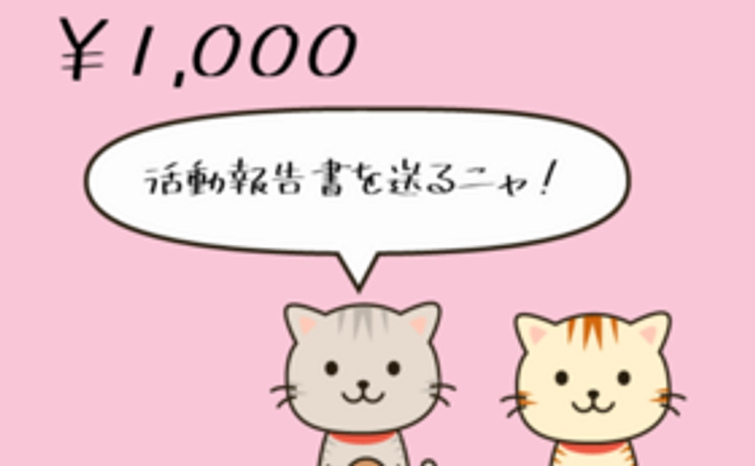 1000円支援