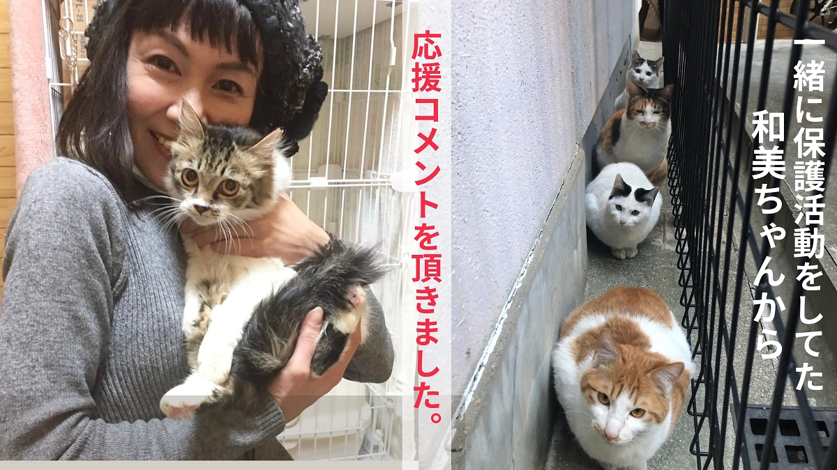 【メッセージリレー Vol 2】一緒に保護活動をしていた和美ちゃんから届きました〜