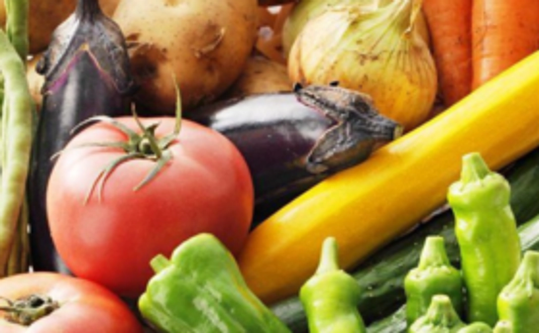 サンクスレター&箱根西麓野菜