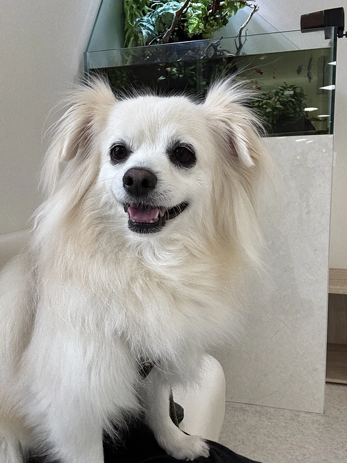 血液適合検査を受けました