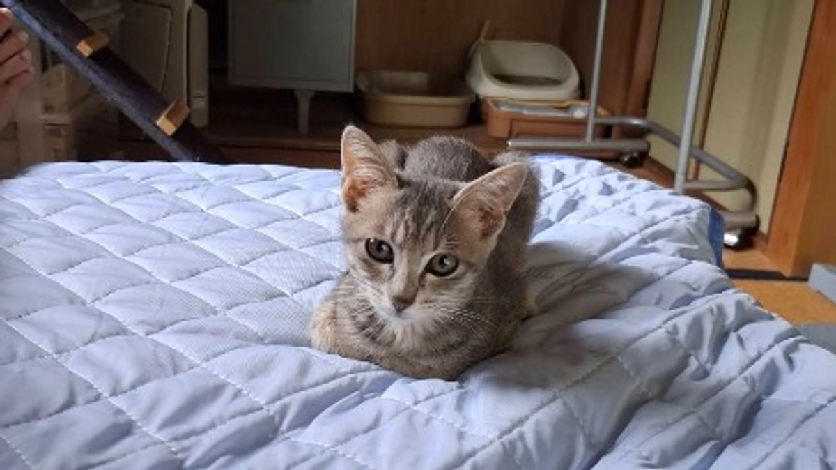 長らくお待たせしています。