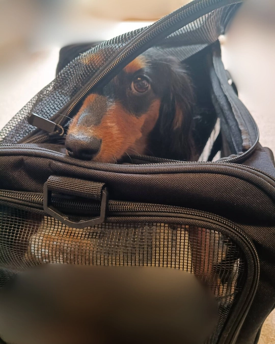 【通院とこれからのリハビリについて】