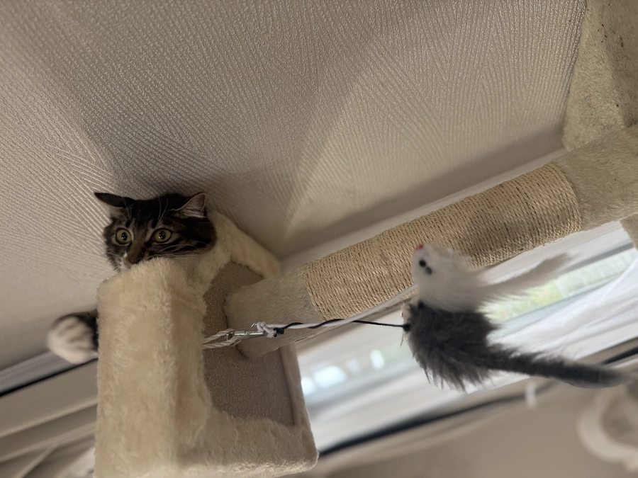 投薬40日目。検査結果が届きました💡