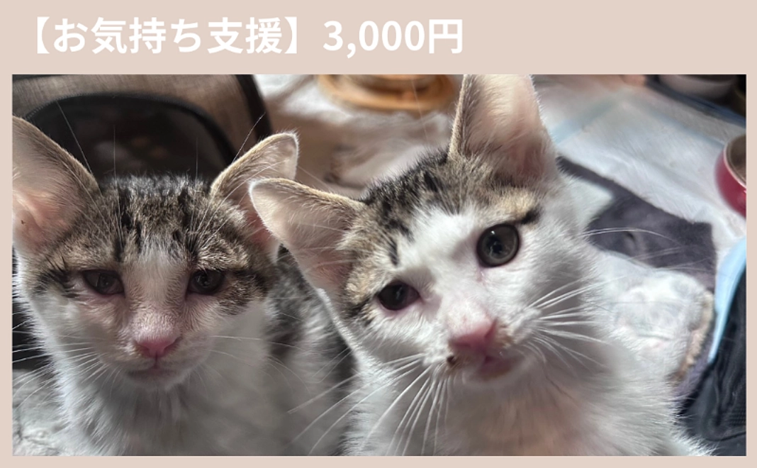 お気持ち支援｜3000円