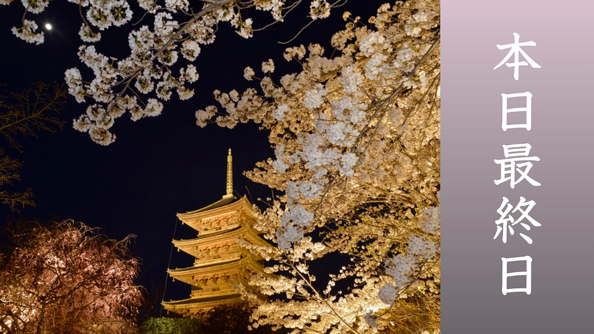 【最終日】真言宗立教開宗1200年慶讃大法会について