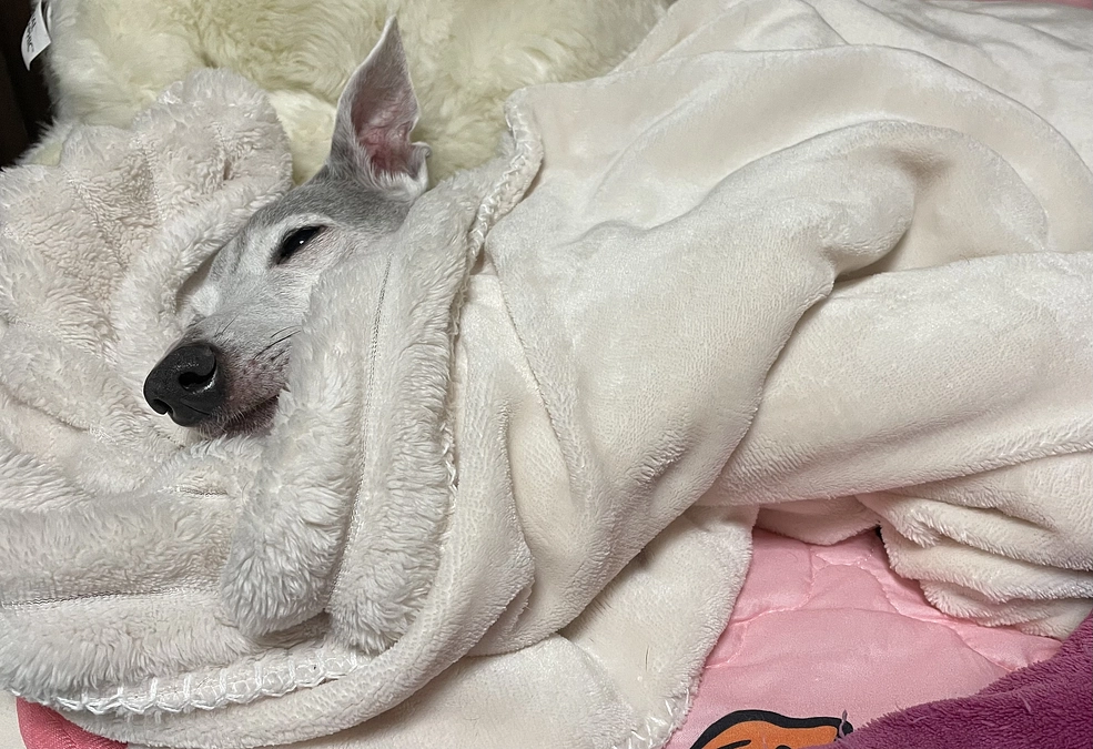 残り15日🗓️達成率7%⏰💦