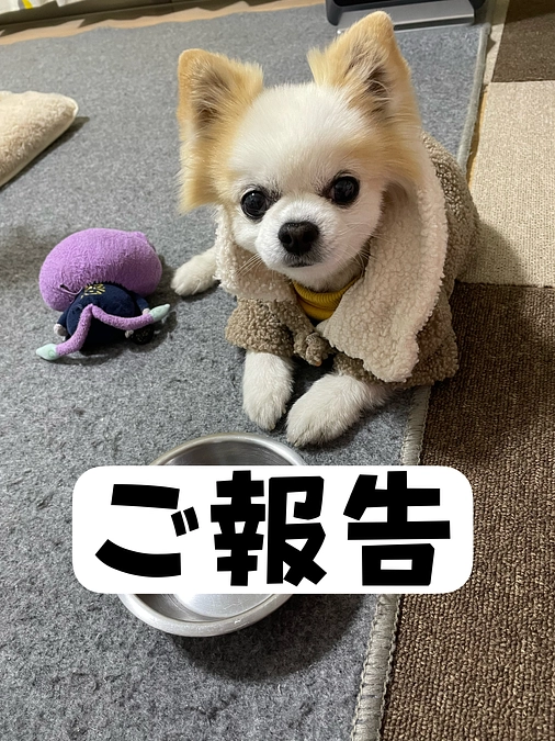 手術当日のお知らせとご報告