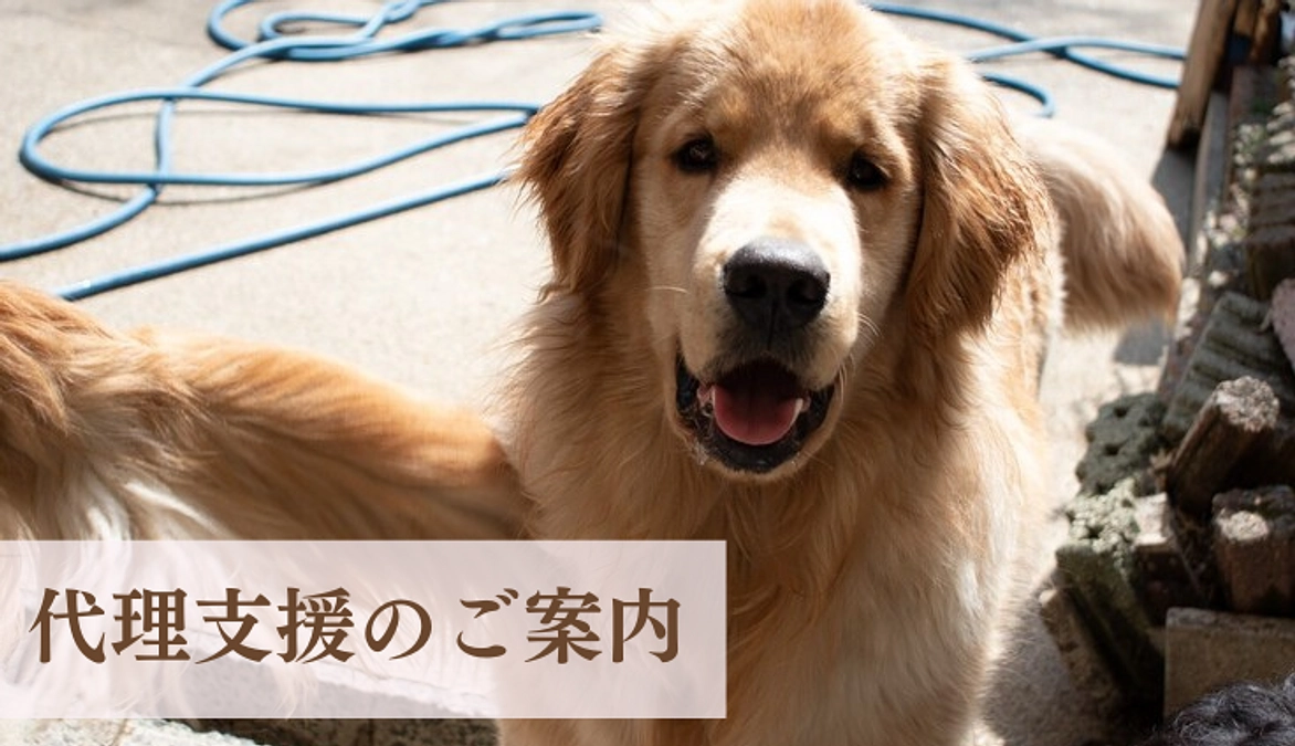 代理支援について〜インターネットでのご支援が難しい方へ〜