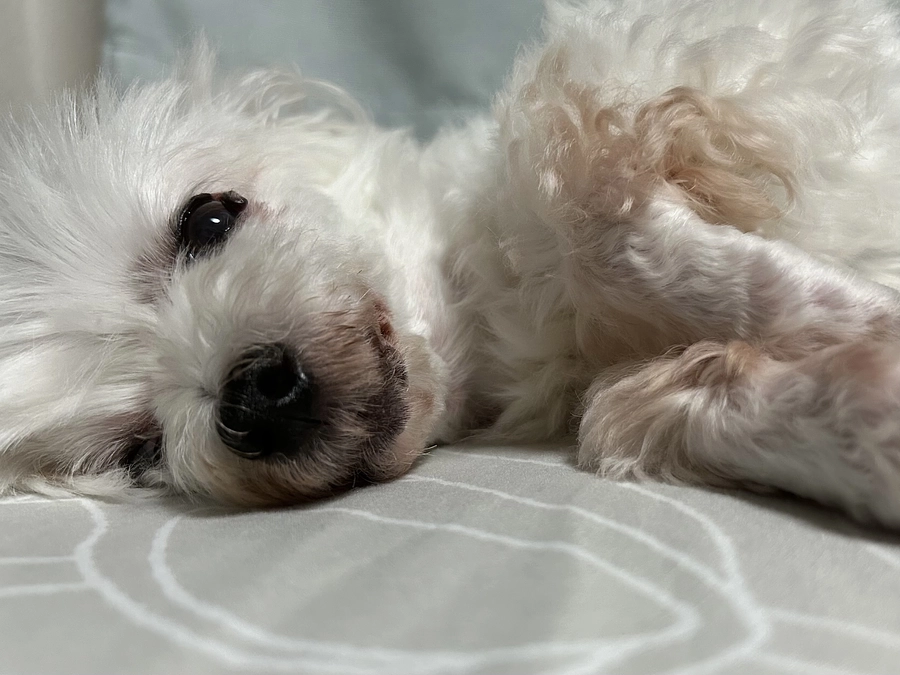 昨日はご視聴ありがとうございます❗️