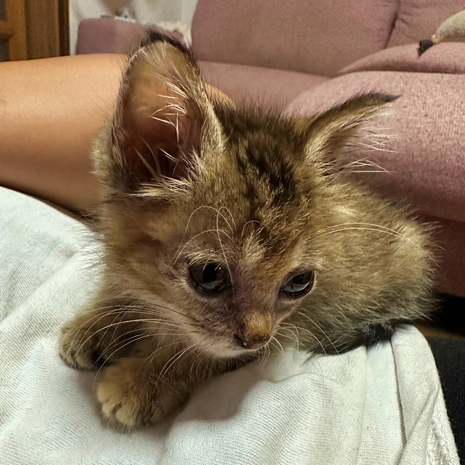 8月の活動報告①