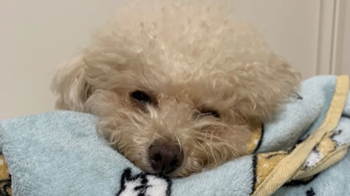 残り72時間となりました！