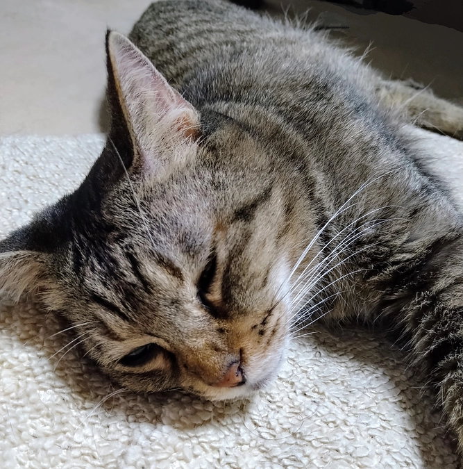 8月31日〈投薬52日目〉