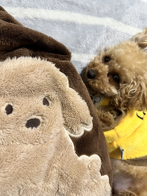  残り9日  45.6万円のご支援が必要です。