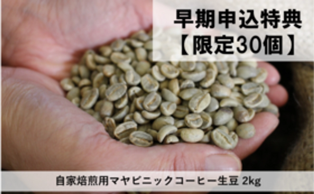 【早期特典・限定30セット】＜単発便＞＜コーヒー生豆＞自家焙煎用マヤビニックコーヒー生豆 2kg(1㎏×2パック）