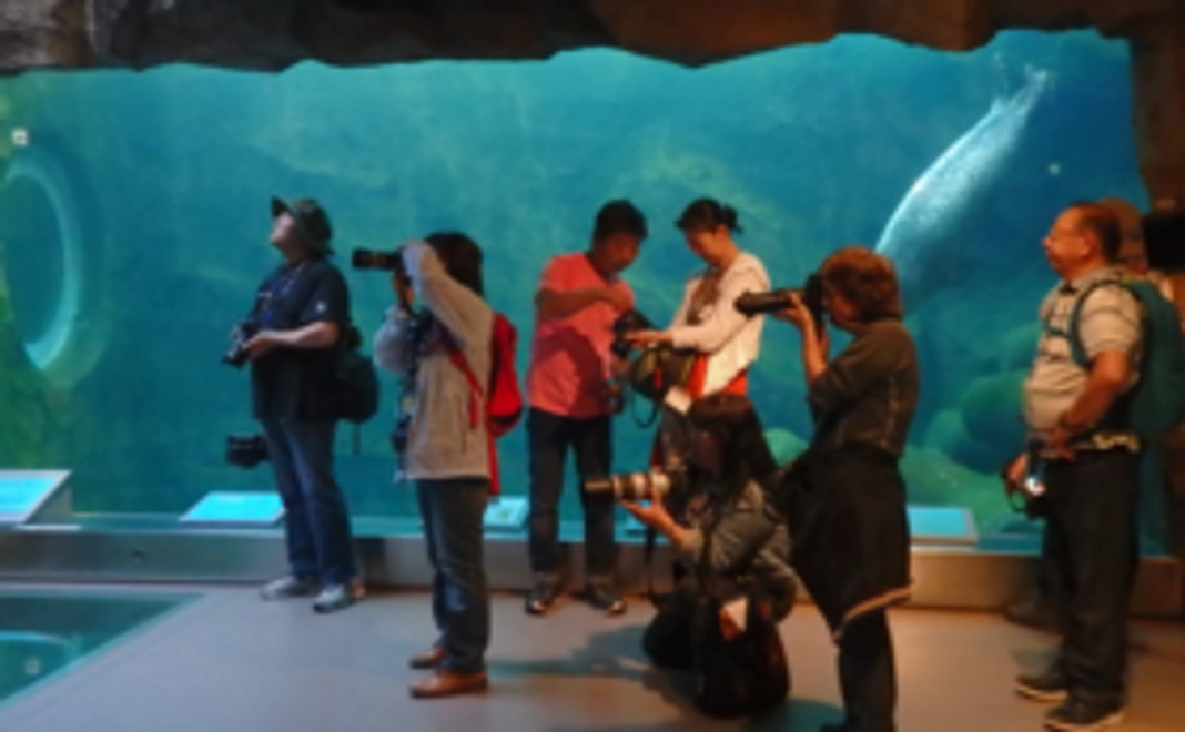 旭山動物園のポスター写真を担当する写真家による「撮影教室」開催