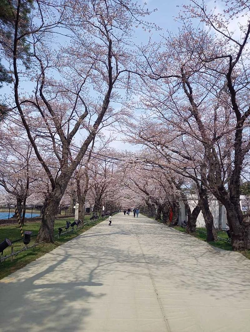 拾ノ型　電動アシスト　デモ機①　歩行者同様に歩道走行実験