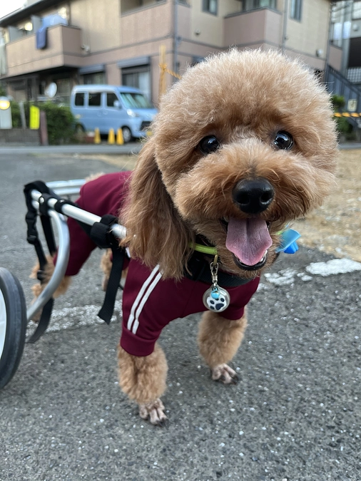 車椅子マスター