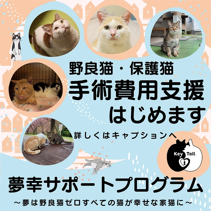 ８月の申請書引き換えチケット15日0時に配布します！