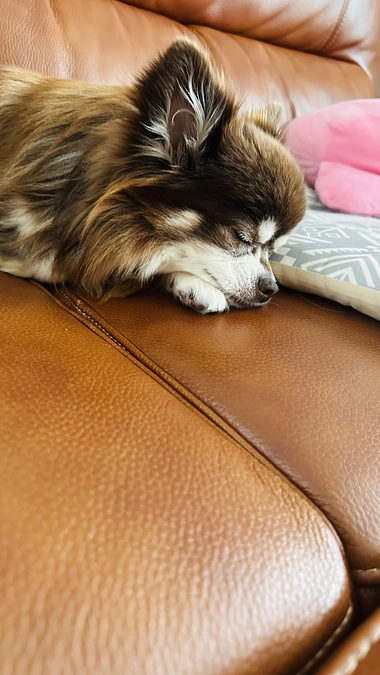 今日は少し調子が良さそうです。