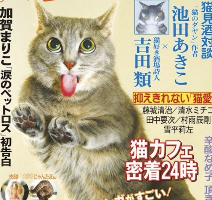 日刊ニャンダイで特集して頂きました。