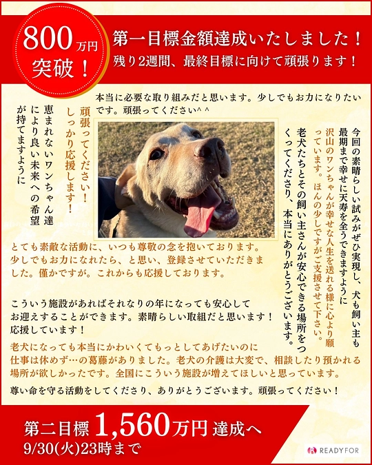 【ネクストチャレンジ中】ジェラート幸せになりました！