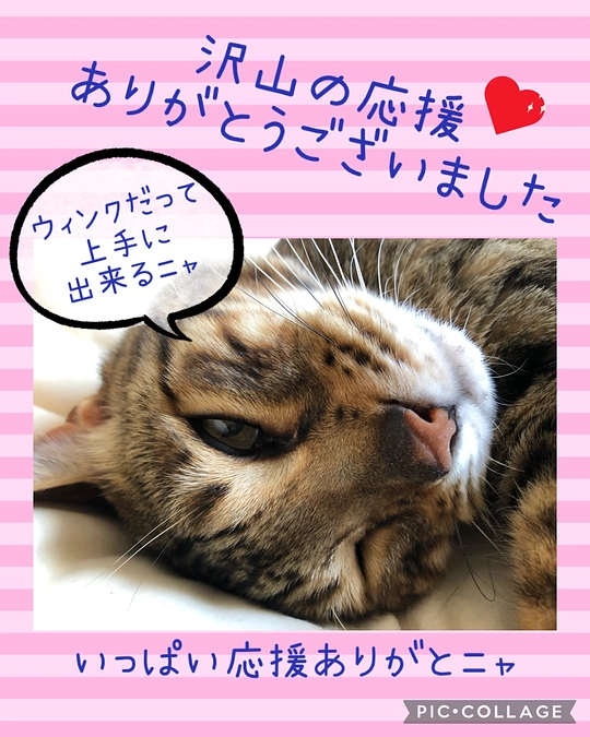 プロジェクト終了のお知らせ