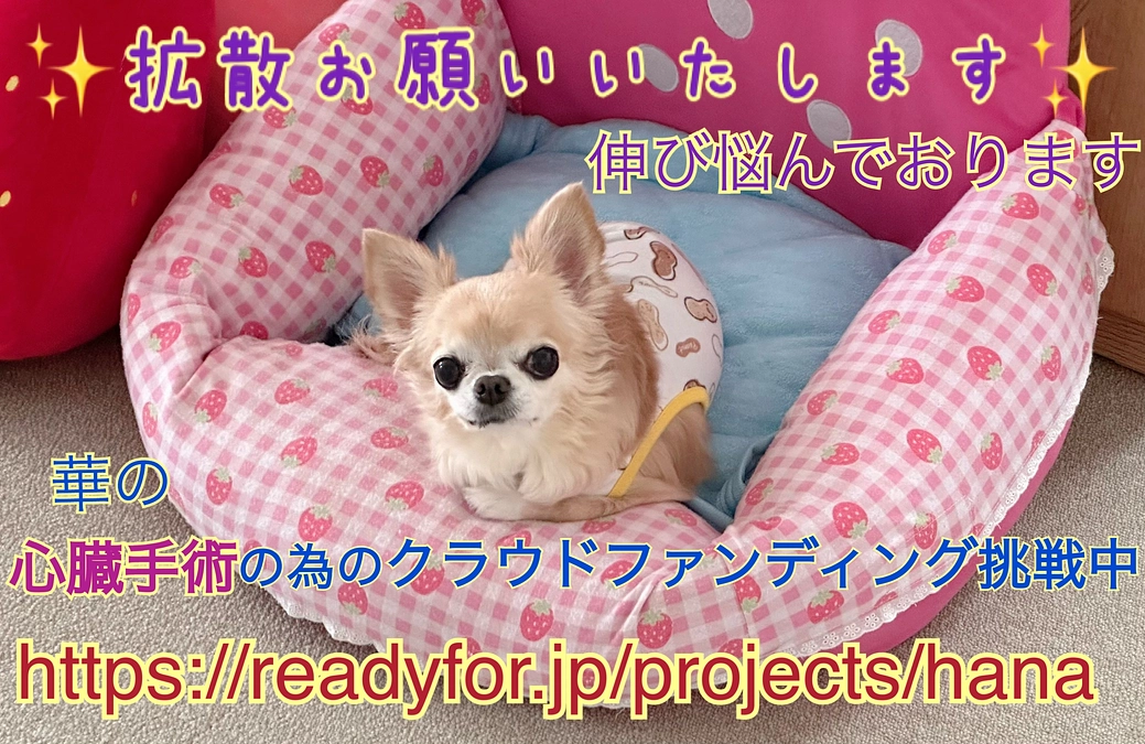 伸び悩んでおります…