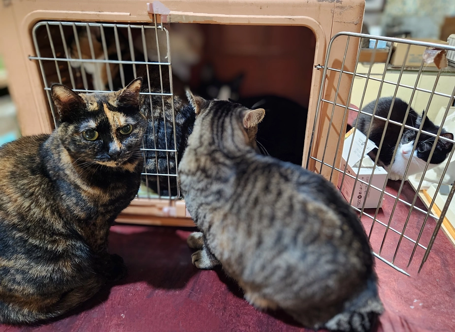 寒くなってきました💦💦