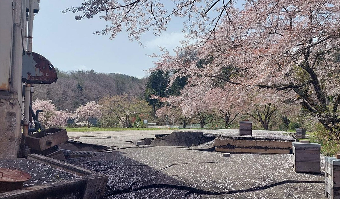 【近況報告】4月19日 心より御礼申し上げます